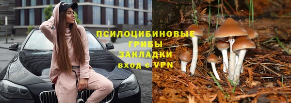 герыч Гусев