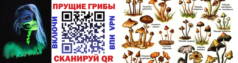 Псилоцибиновые грибы ЛСД  дарк нет как зайти  Обь  купить  цена 