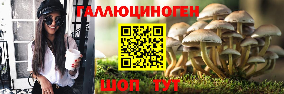 Галлюциногенные грибы Cubensis Обь